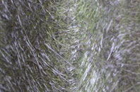 Minster fibreglass roof work